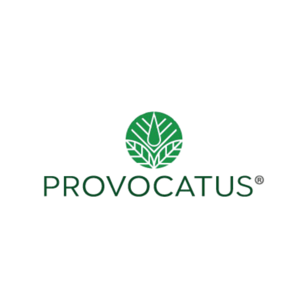 Provocatus